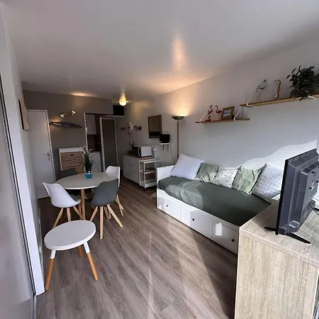 2 Pieces Climatise Avec Parking, Terrasse - Port Camargue - Fr-1-731-110 Apartman