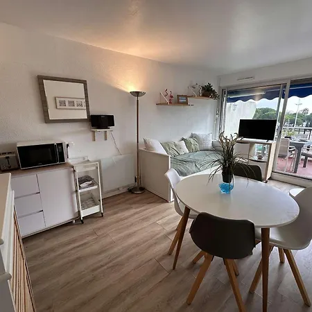 Apartment 2 Pieces Climatise Avec Parking, Terrasse - Port Camargue - Fr-1-731-110 Le Grau-du-Roi