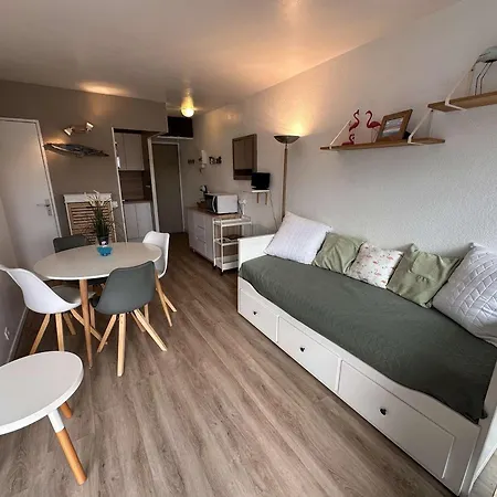 2 Pièces Climatisé Avec Parking, Terrasse - Port Camargue - Fr-1-731-110