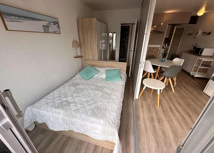 Apartamento 2 Pièces Climatisé Avec Parking, Terrasse - Port Camargue - Fr-1-731-110 Le Grau-du-Roi