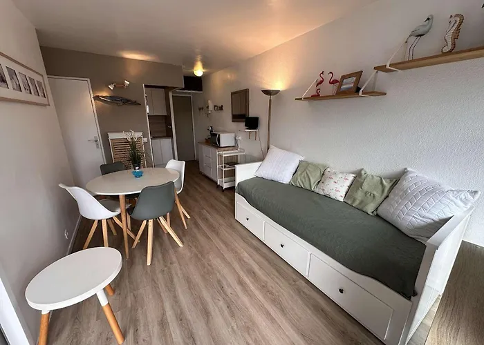 2 Pièces Climatisé Avec Parking, Terrasse - Port Camargue - Fr-1-731-110