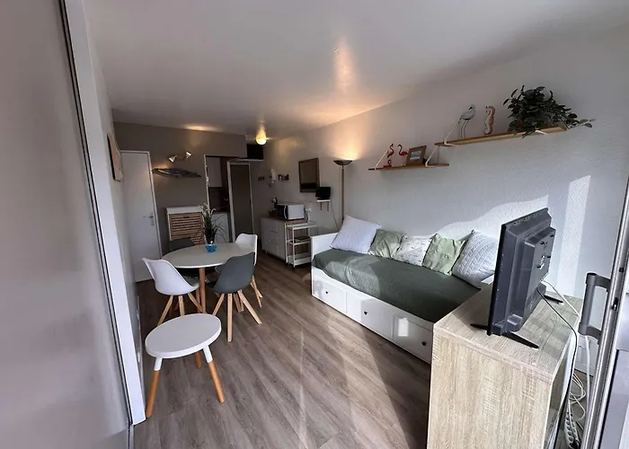 2 Pièces Climatisé Avec Parking, Terrasse - Port Camargue - Fr-1-731-110 Apartamento